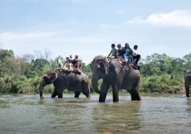 Wildlife tour in Nepal